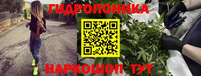 тгк Ярославль