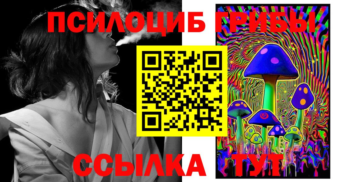 Псилоцибиновые грибы Cubensis  Вход с VPN  Томск 