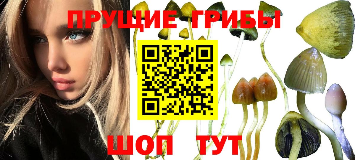 Псилоцибиновые грибы MAGIC MUSHROOMS Томск